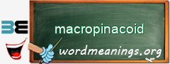 WordMeaning blackboard for macropinacoid